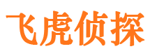 桥西寻人公司